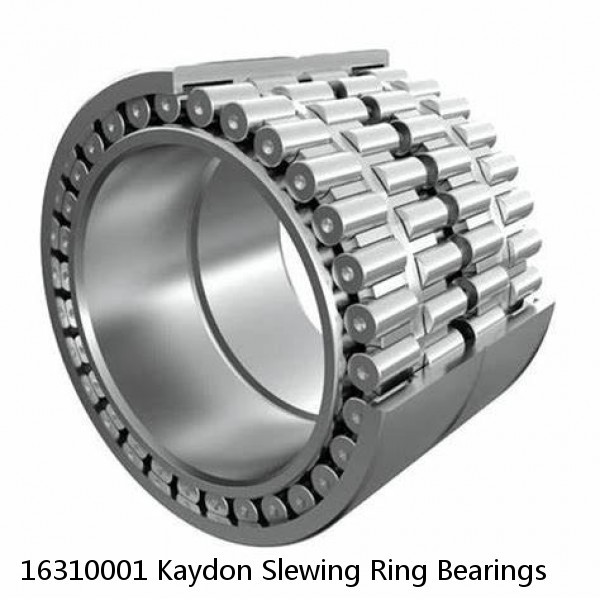 16310001 Kaydon Slewing Ring Bearings