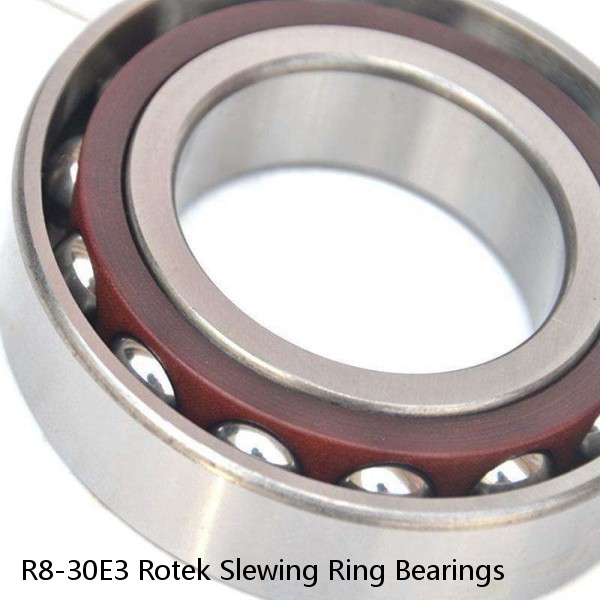 R8-30E3 Rotek Slewing Ring Bearings