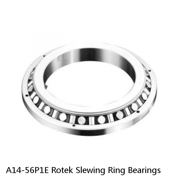A14-56P1E Rotek Slewing Ring Bearings