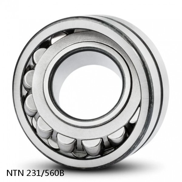 231/560B NTN Spherical Roller Bearings