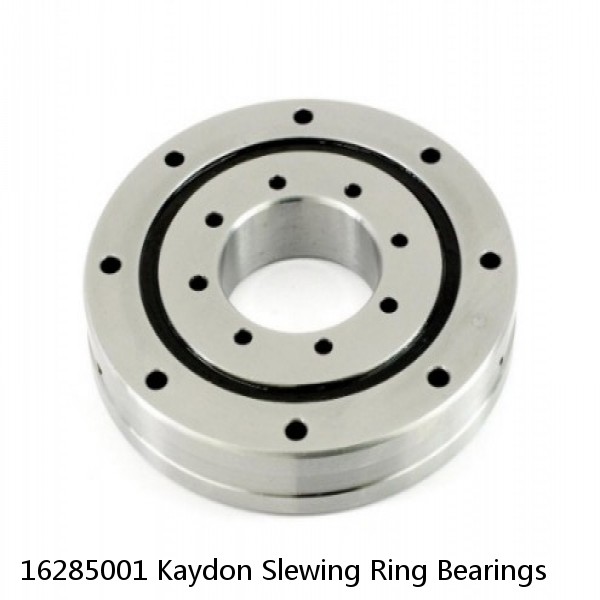 16285001 Kaydon Slewing Ring Bearings #1 small image