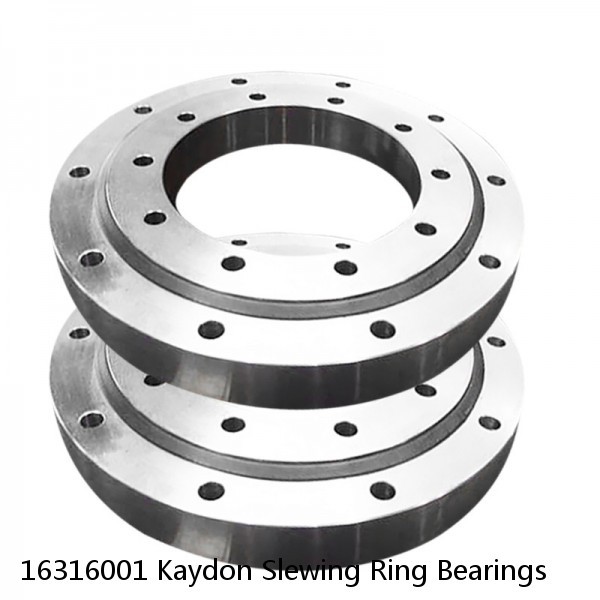 16316001 Kaydon Slewing Ring Bearings