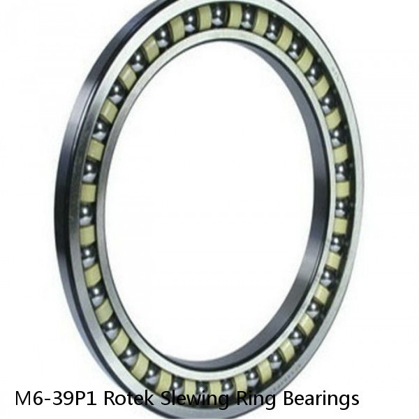 M6-39P1 Rotek Slewing Ring Bearings