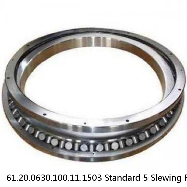 61.20.0630.100.11.1503 Standard 5 Slewing Ring Bearings