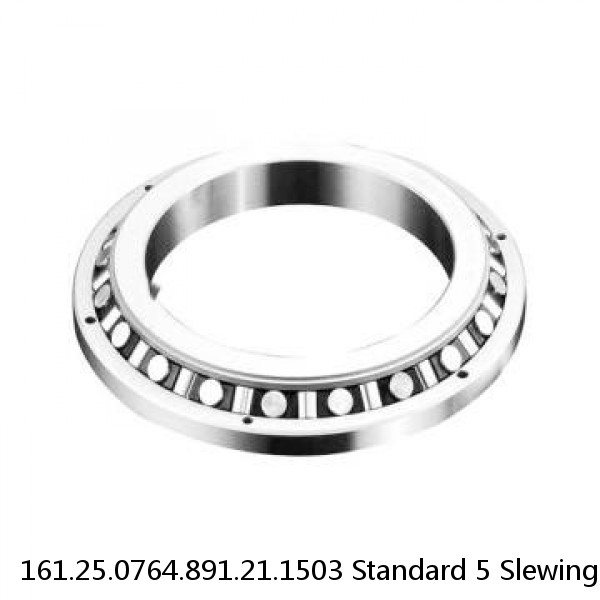 161.25.0764.891.21.1503 Standard 5 Slewing Ring Bearings #1 small image