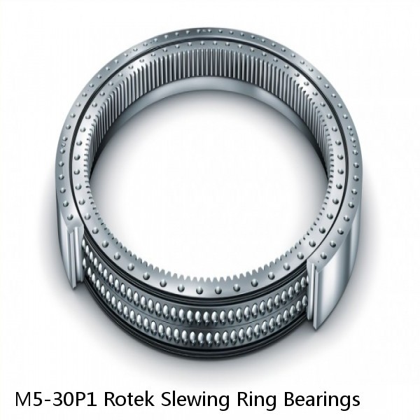 M5-30P1 Rotek Slewing Ring Bearings #1 image