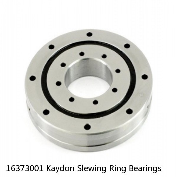 16373001 Kaydon Slewing Ring Bearings #1 image