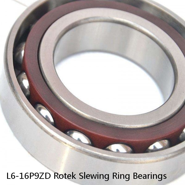 L6-16P9ZD Rotek Slewing Ring Bearings #1 image