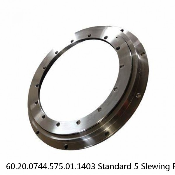 60.20.0744.575.01.1403 Standard 5 Slewing Ring Bearings #1 image