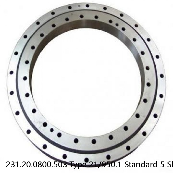 231.20.0800.503 Type 21/950.1 Standard 5 Slewing Ring Bearings #1 image