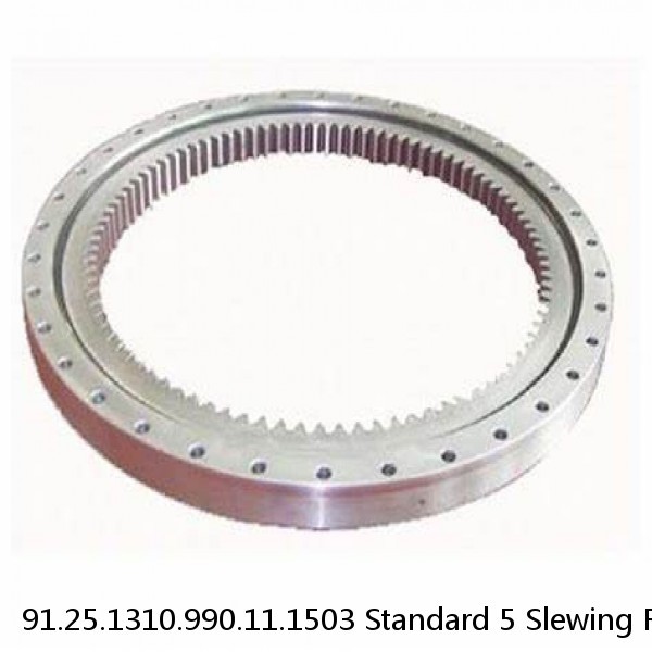 91.25.1310.990.11.1503 Standard 5 Slewing Ring Bearings #1 image
