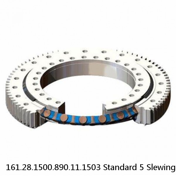 161.28.1500.890.11.1503 Standard 5 Slewing Ring Bearings #1 image