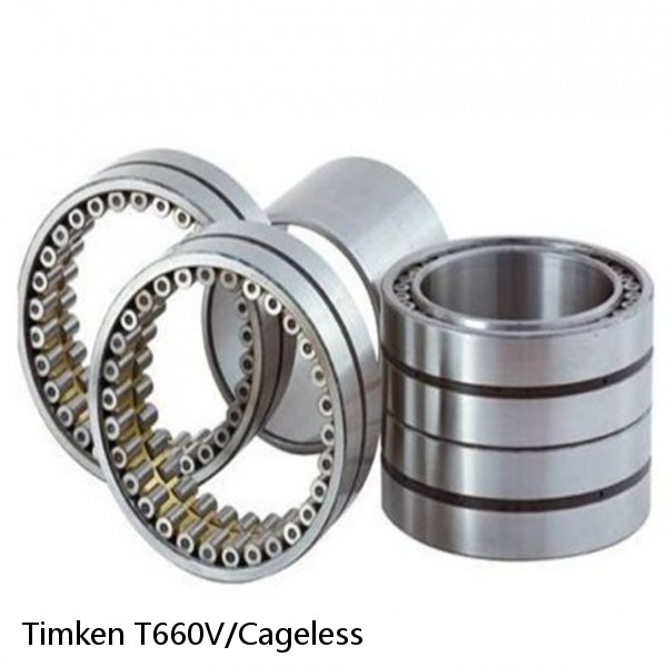 T660V/Cageless Timken Cylindrical Roller Bearing #1 image