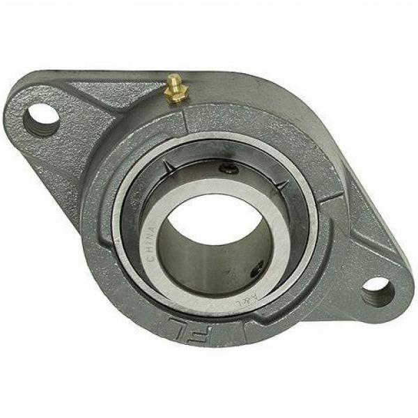 Four Bolt Flange Ball Bearing with Fkd, Hhb, Fe Bearings #1 image