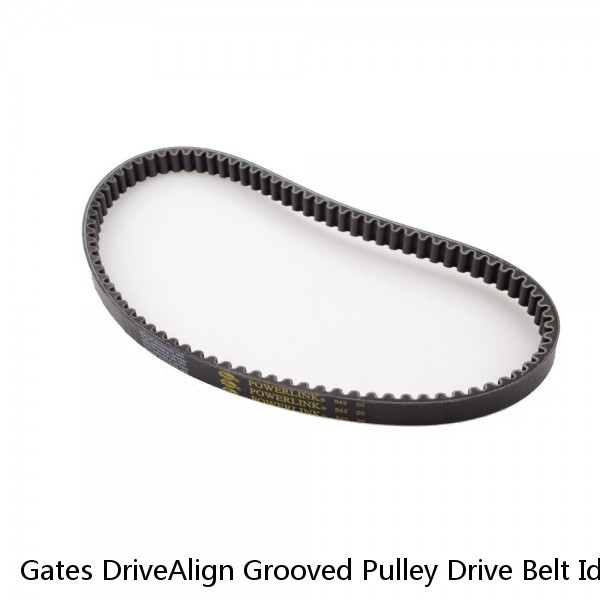 Gates DriveAlign Grooved Pulley Drive Belt Idler Pulley for 2005-2019 Nissan gh #1 image