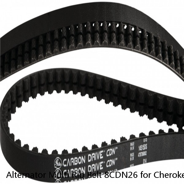 Alternator Multi Rib Belt 8CDN26 for Cherokee Comanche Wagoneer 1985 1986 1987 #1 image